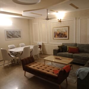 Drawing Room Sofa 11